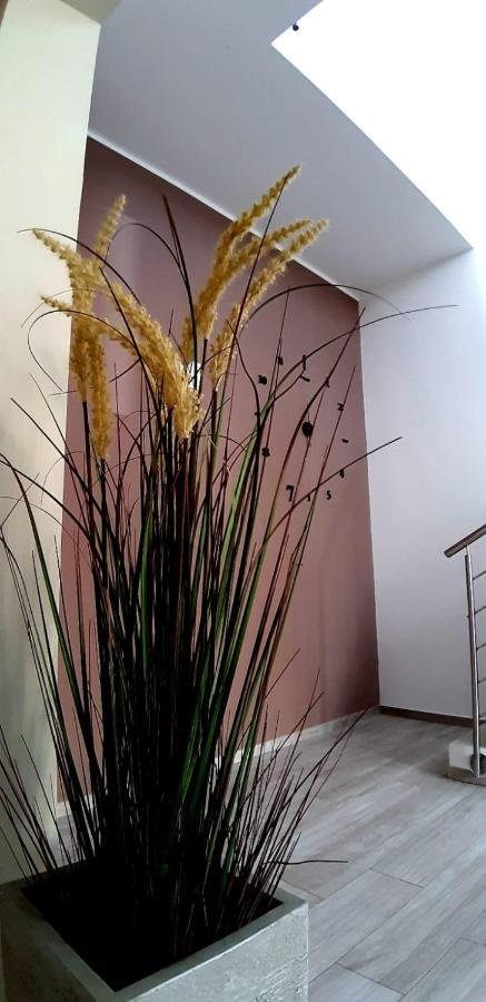 B&B Filieri Santa Maria al Bagno Zewnętrze zdjęcie